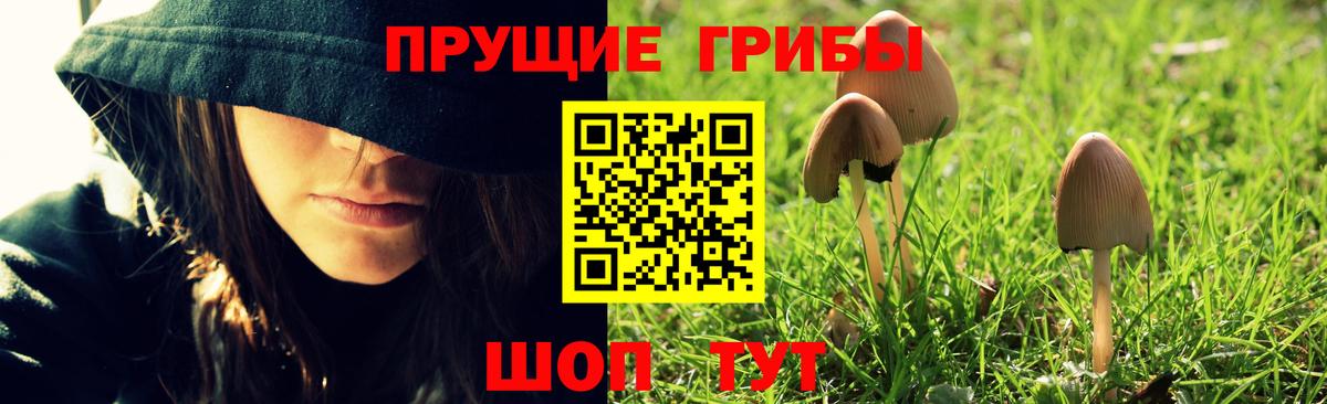 Псилоцибиновые грибы ЛСД  Псилоцибиновые грибы ЛСД  Уссурийск  Вход с VPN 